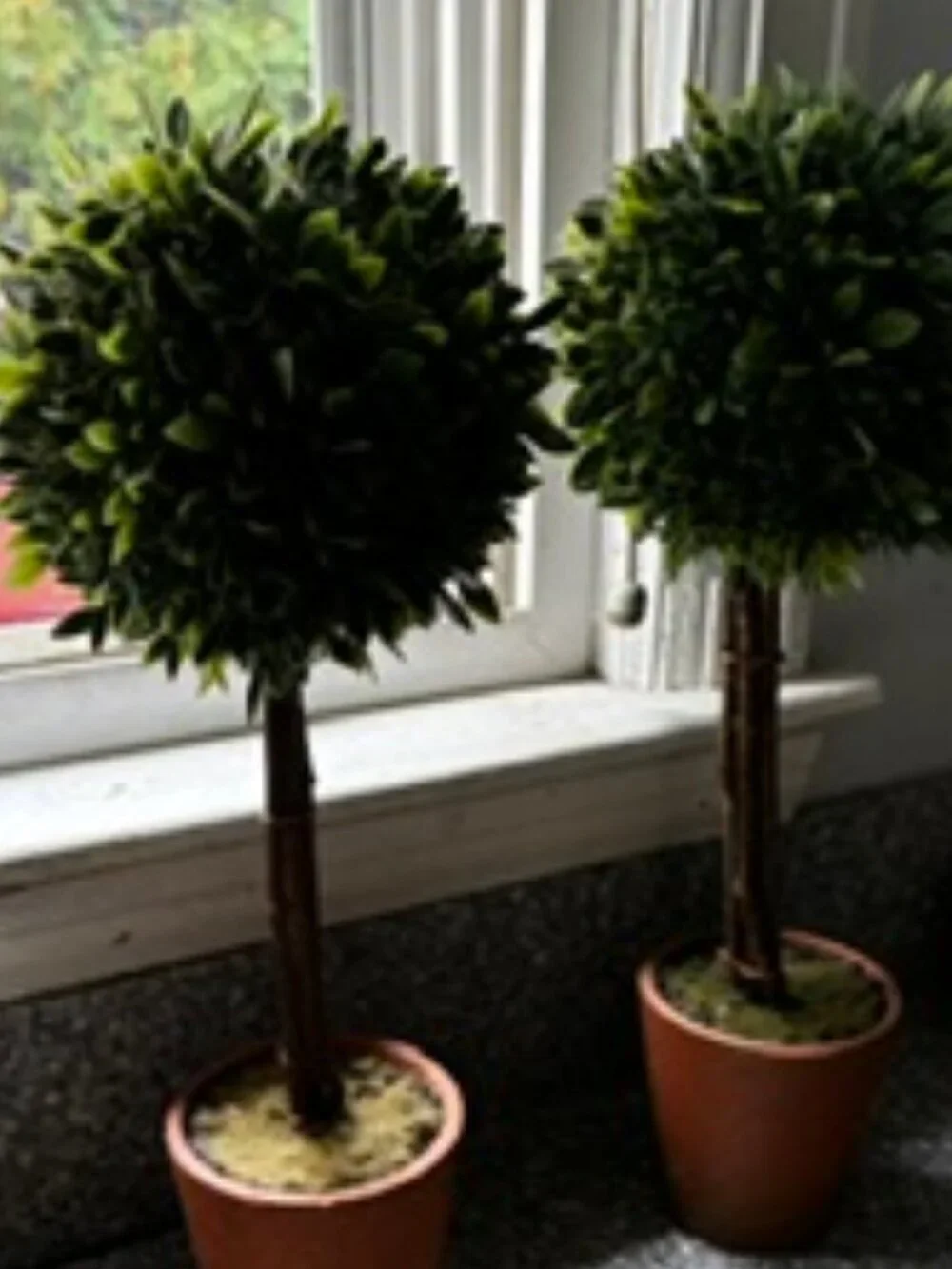 Twin Faux Boxwoods, 14